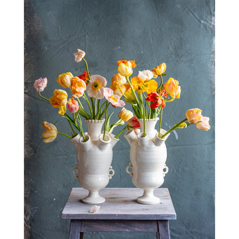 Frances Palmer, 7 Spout Round Tulipiere