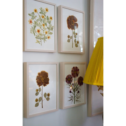 Marian McEvoy, Collage with Spider Aralia Leaves and Flowers Composed of Dahlia, Cosmos and Daisy Petals