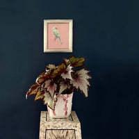 Custom Petite Pet Portrait by Alexis England