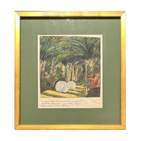 White Peacocks in Villa Sciarra in Rome