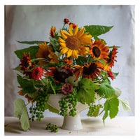 Frances Palmer, Sunflower Compote