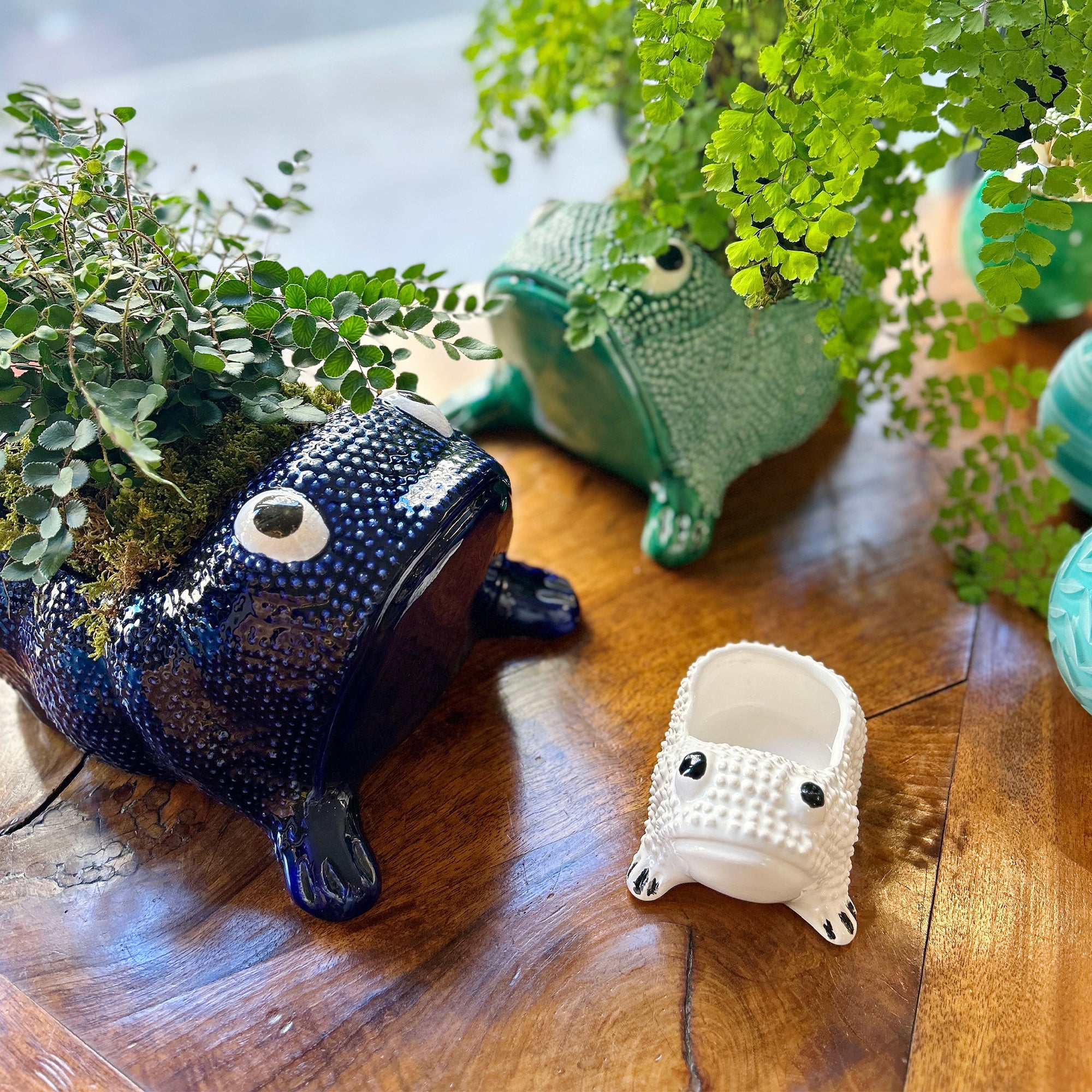 frog planter pots Medium Jean Roger Frog Planter