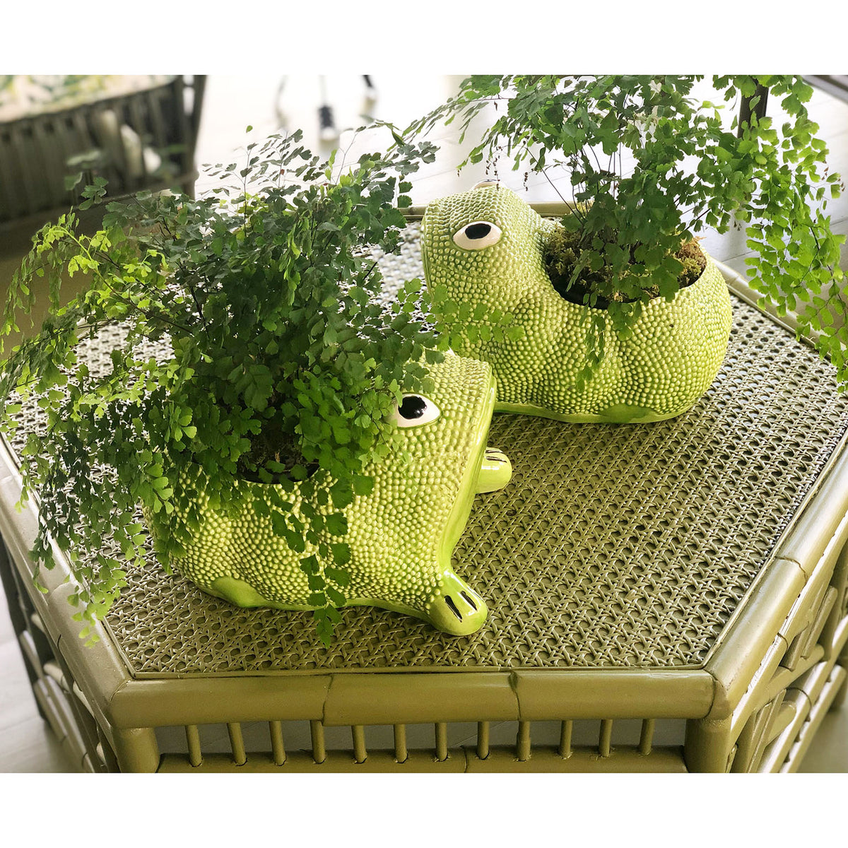 Large Jean Roger Frog Planter