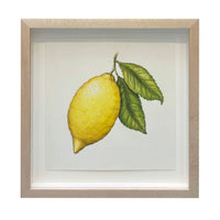 Jill Amadei, Amalfi Lemon