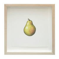 Jill Amadei, Bartlett Pear