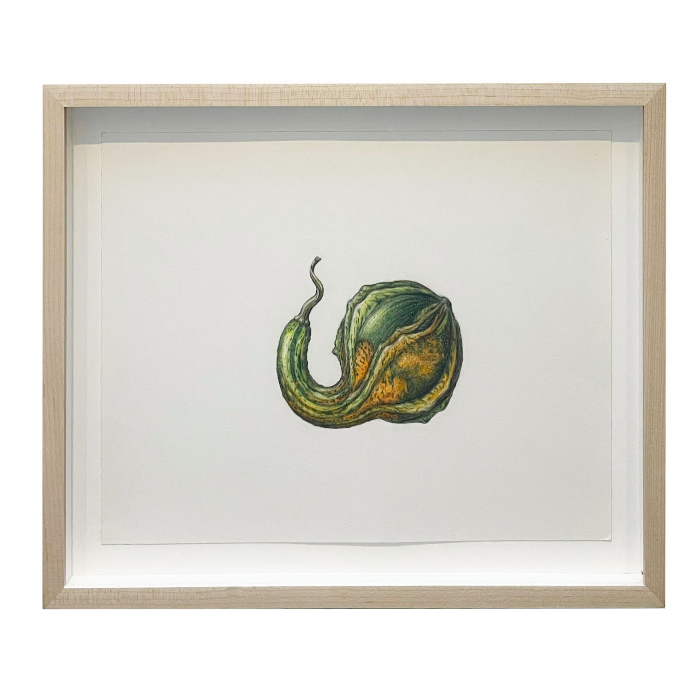 Jill Amadei, Green Gourd
