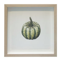 Jill Amadei, Sweet Dumpling Squash