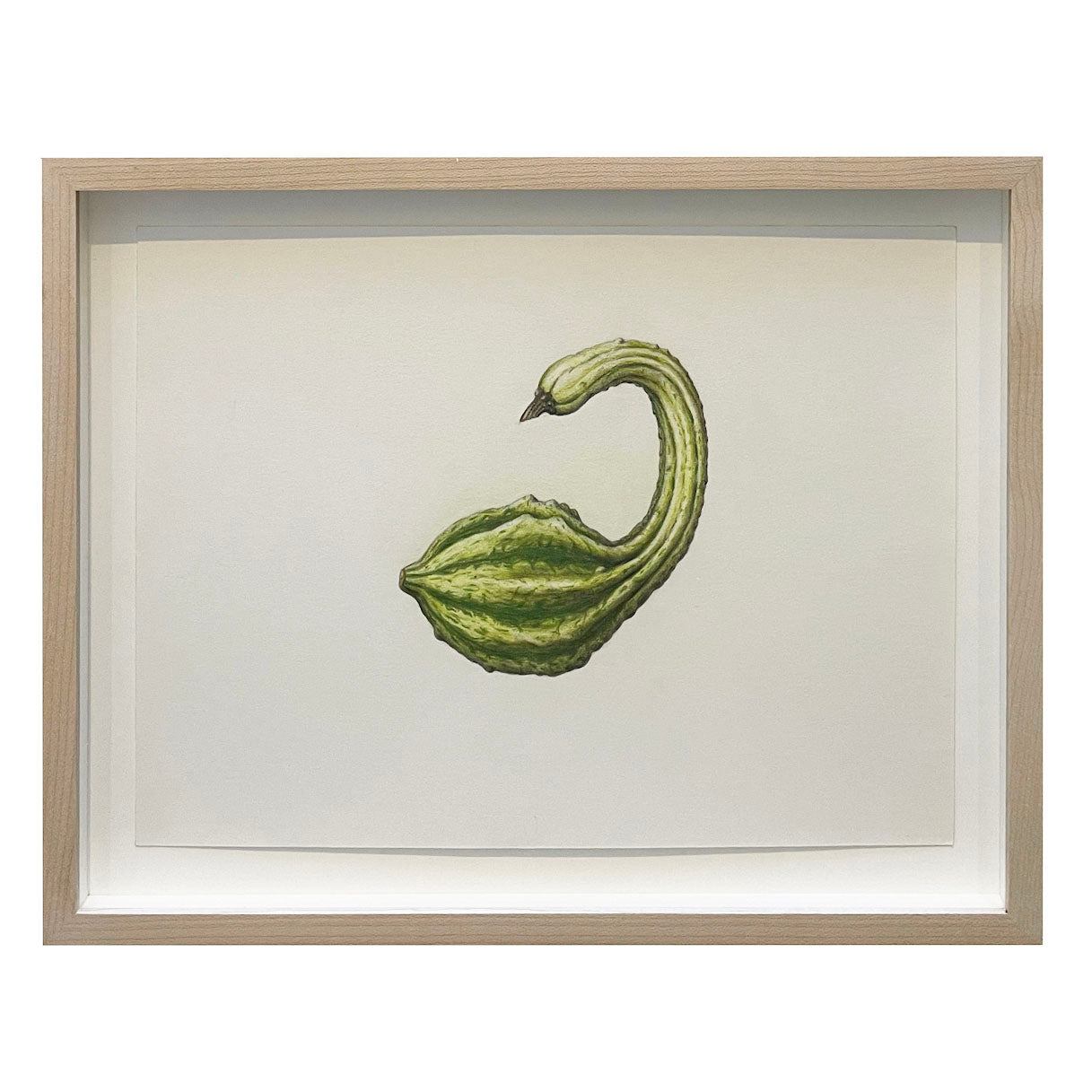 Jill Amadei, Swan Gourd