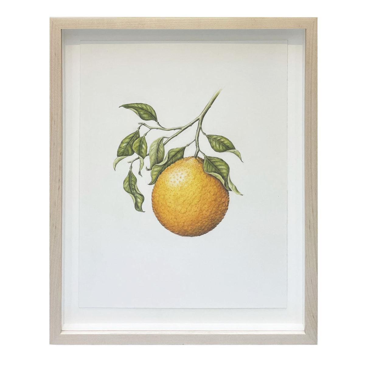 Jill Amadei, Valencia Orange