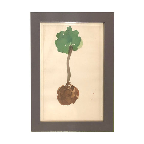 "Garden" Watercolor of Turnip by Joe Eula
