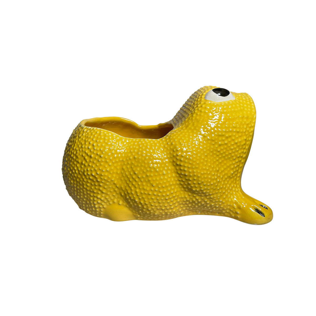 Large Jean Roger Frog Planter