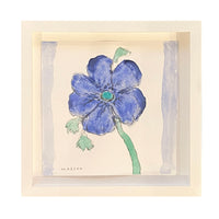 Charles Masson, Blue Anemone with Border Stripe
