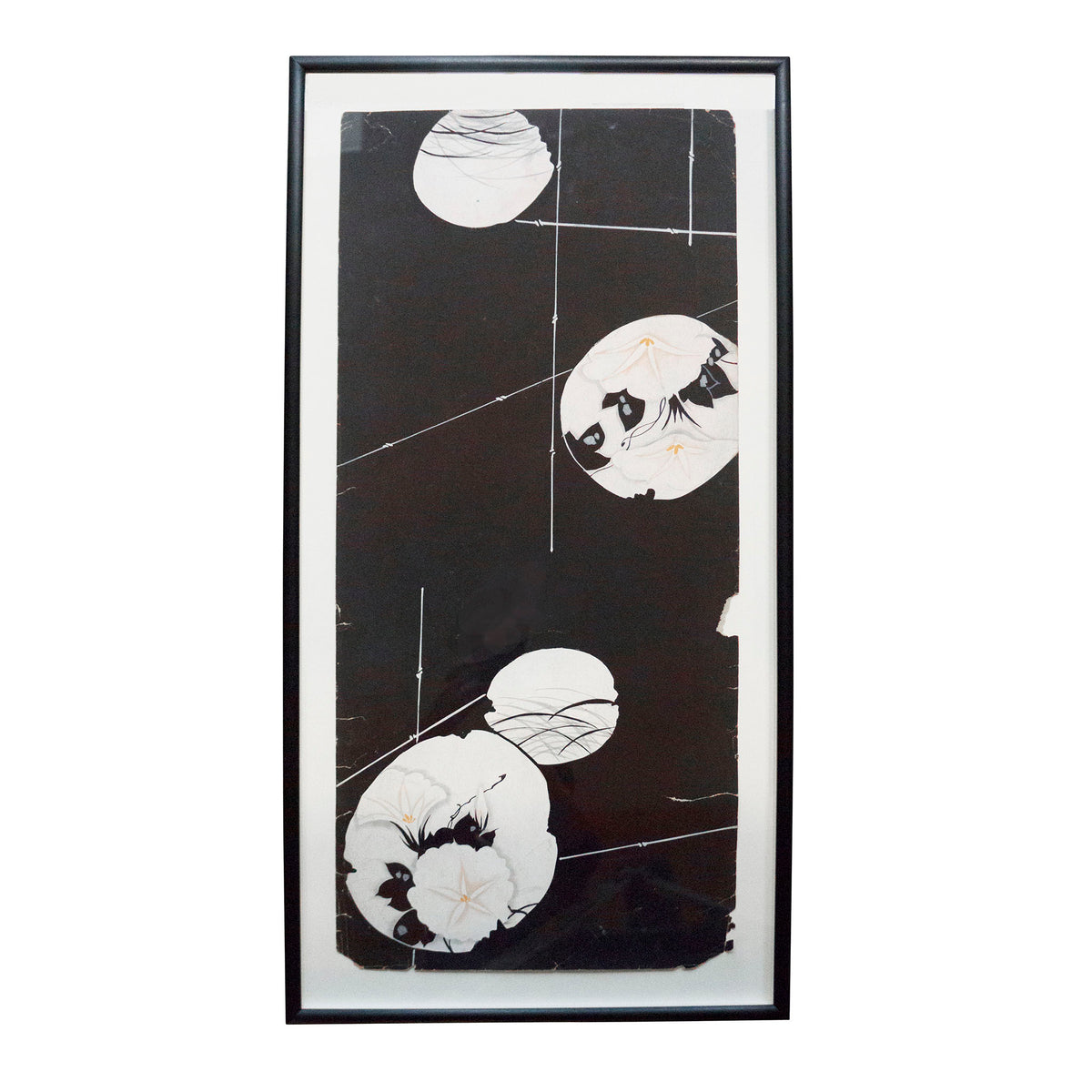 Morning Glory Moon on Black