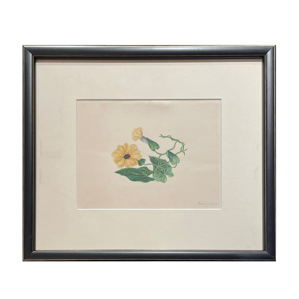 Black-Eyed Susan Vine Watercolor – KRB